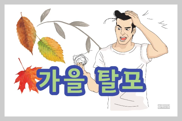  가을 탈모 원인, 관리, 탈모의 계절, 가을철 탈모 관리