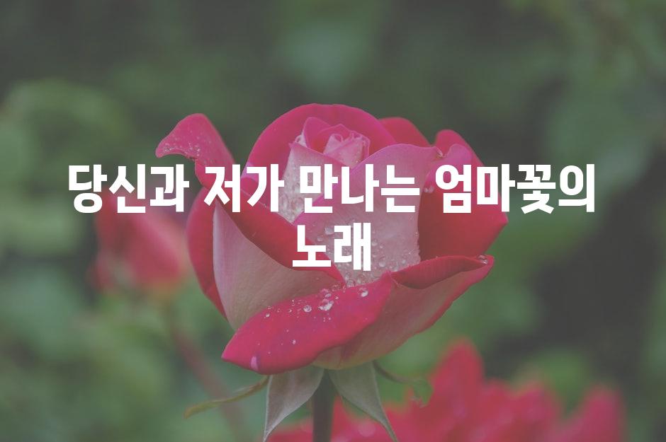 당신과 저가 만나는 엄마꽃의 노래