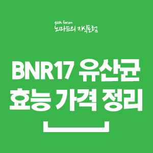 bnr17 유산균 가루 정리