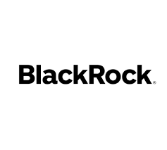  [4월 19일] BST(BlackRock Science & Technology Trust) 1주 매수 일지