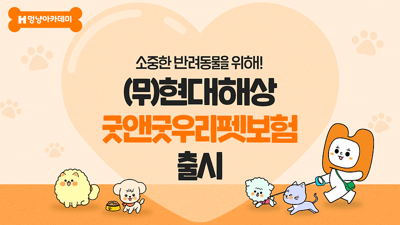펫보험