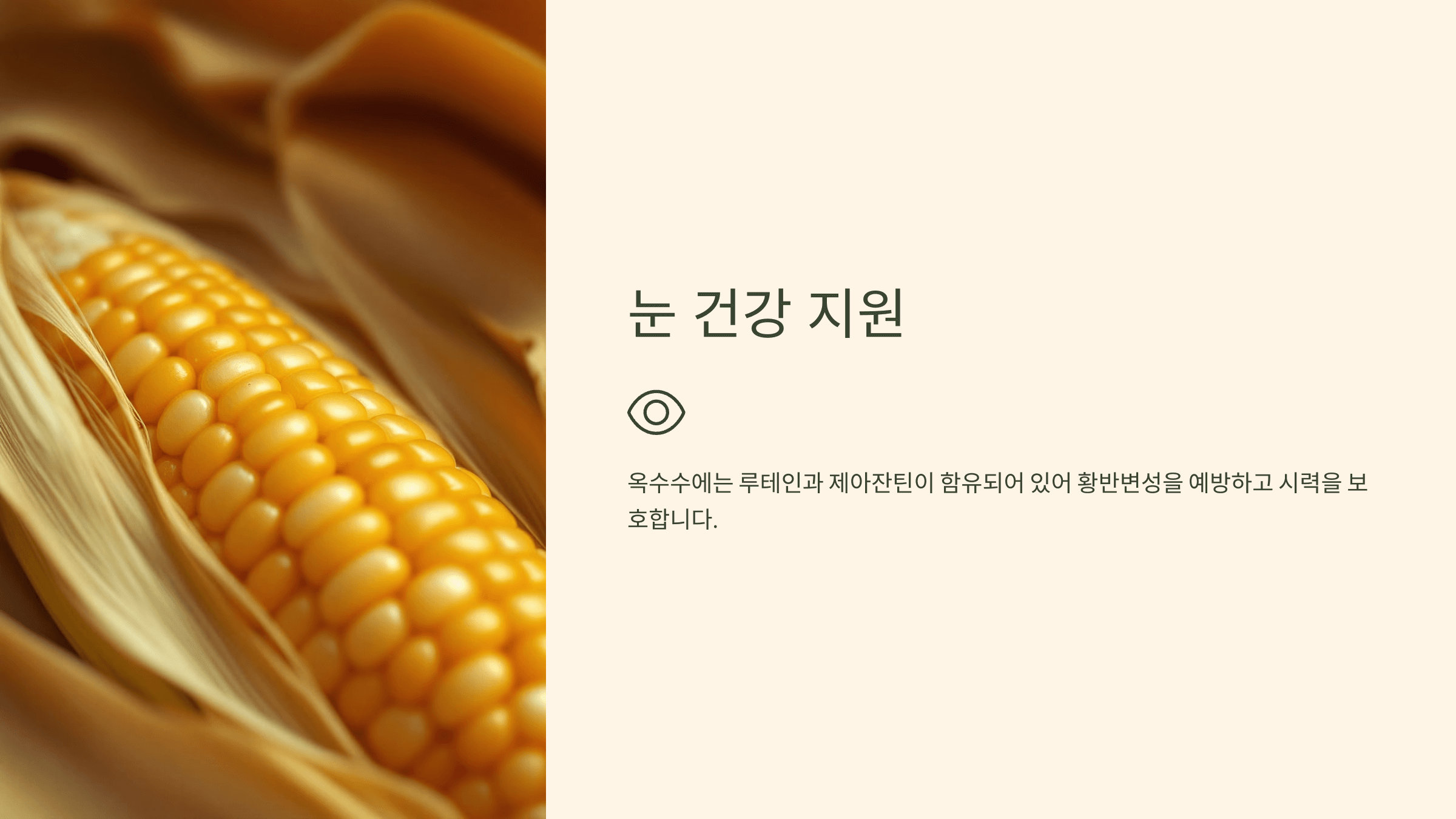 옥수수 사진입니다.