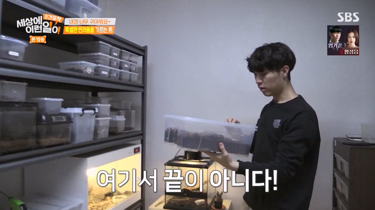 순간포착 세상에 이런일이.E1269.240317p-NEXT.mp4_20240317_163613.516.jpg