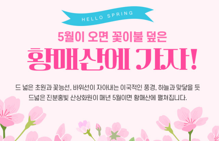 2024년 황매산 철쭉축제