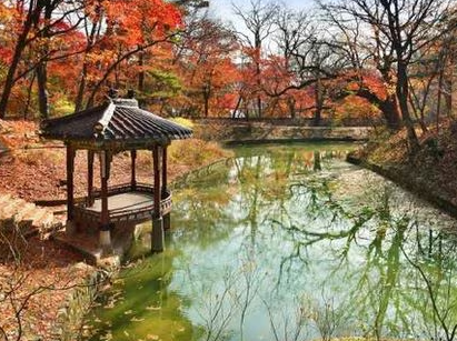  창덕궁 후원(비원)과 예약하는 방법
