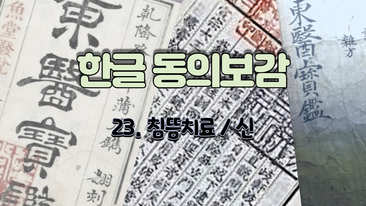  23. 침뜸치료[鍼灸法]/신  ( 내경편 신 )
