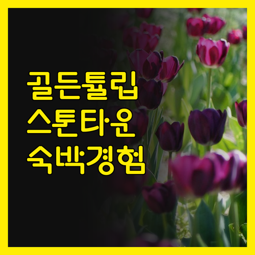 골든 튤립 스톤 타운 부티크에서의 매