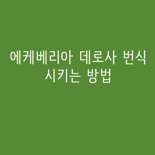 에케베리아 데로사 번식시키는 방법 에케베리아 데로사 번식시키는 방법