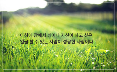 이슬 맺힌 잔디에 비치는 햇빛