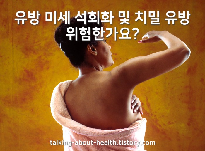 유방 미세 석회화 및 치밀 유방 위험한가요?