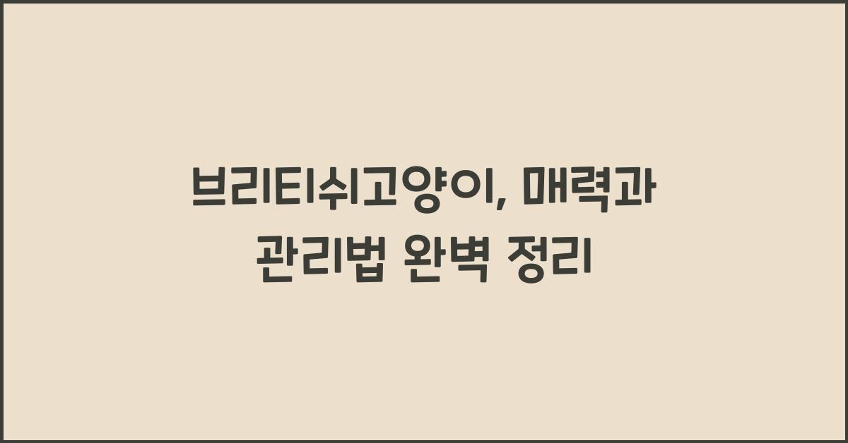 브리티쉬고양이