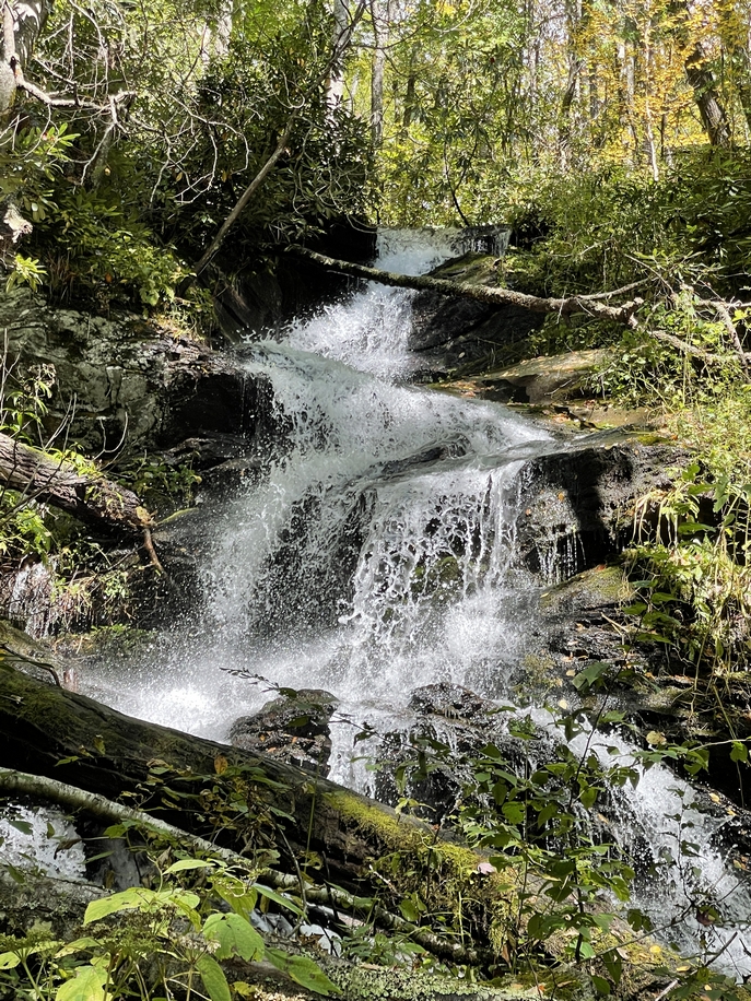 img.jpg