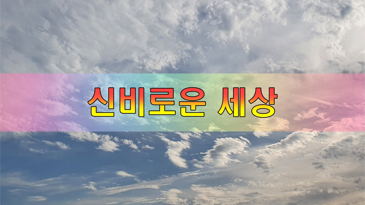  신비로운 세계 [성장 명언]