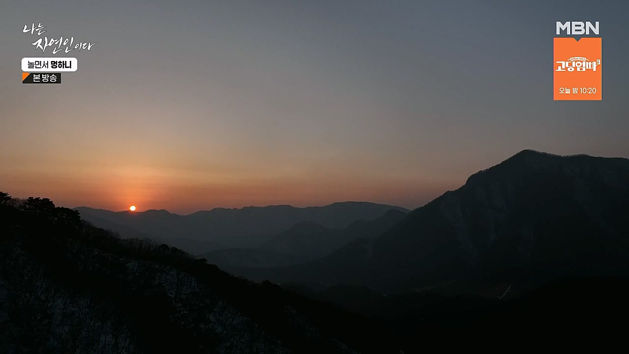 나는 자연인이다.E538.230126p-NEXT.mp4_20230126_194023.601.jpg