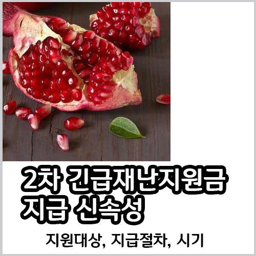  2차 긴급재난지원금 지급 신속성