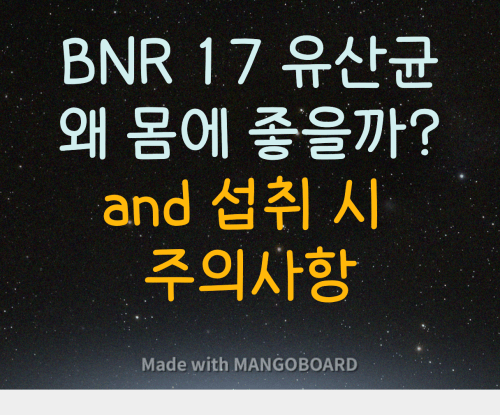 BNR 17 유산균 효능