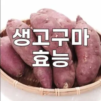 생고구마효능 섭취요령 주의사항 부작용_25