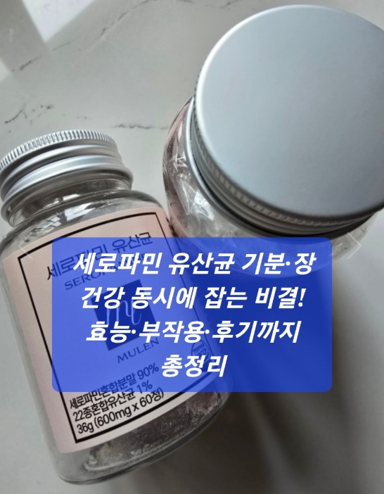 세로파민 유산균