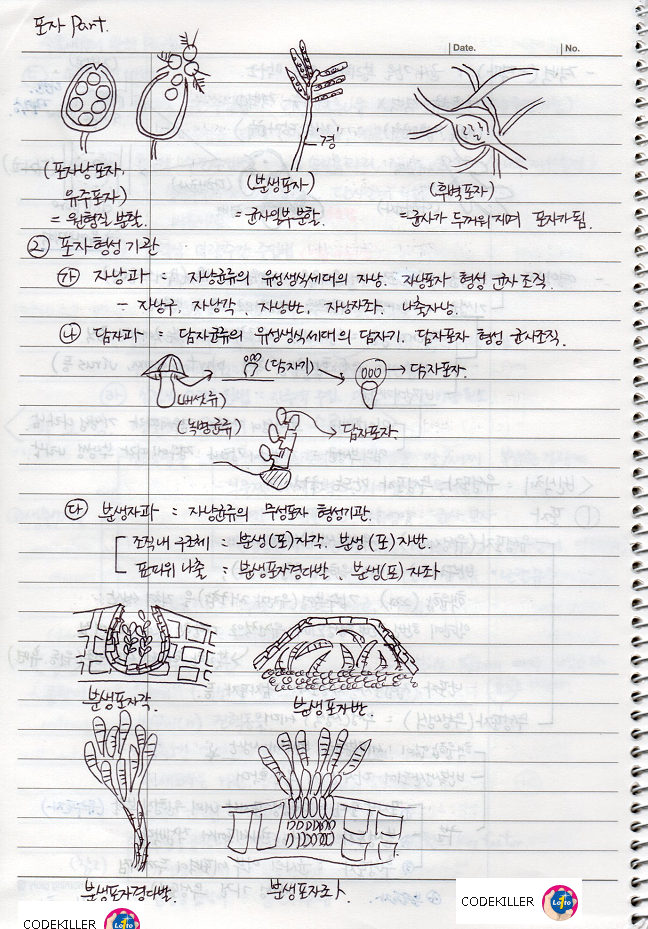 포자형상기관 : 자낭과&#44; 담자과&#44; 분생자과