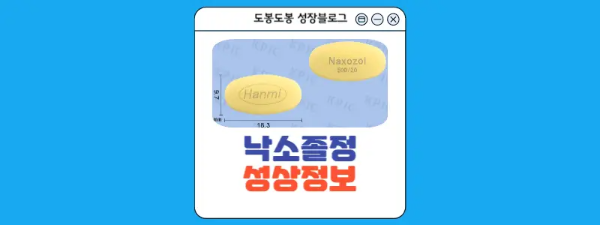 낙소졸정 500/20mg 성상 정보 이미지