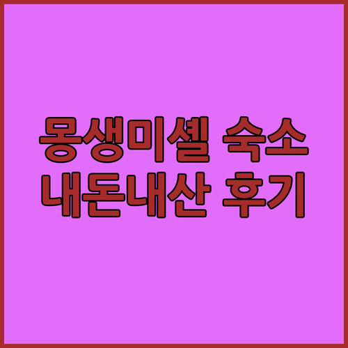 몽생미셸 여행, 어디서 묵을까? 내돈