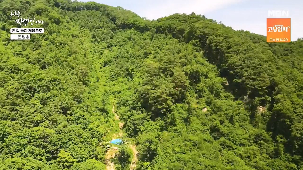 나는 자연인이다.E612.240704p-NEXT.mp4_20240704_195019.191.jpg