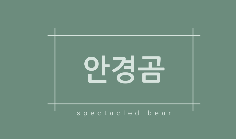 안경곰(spectacled bear)