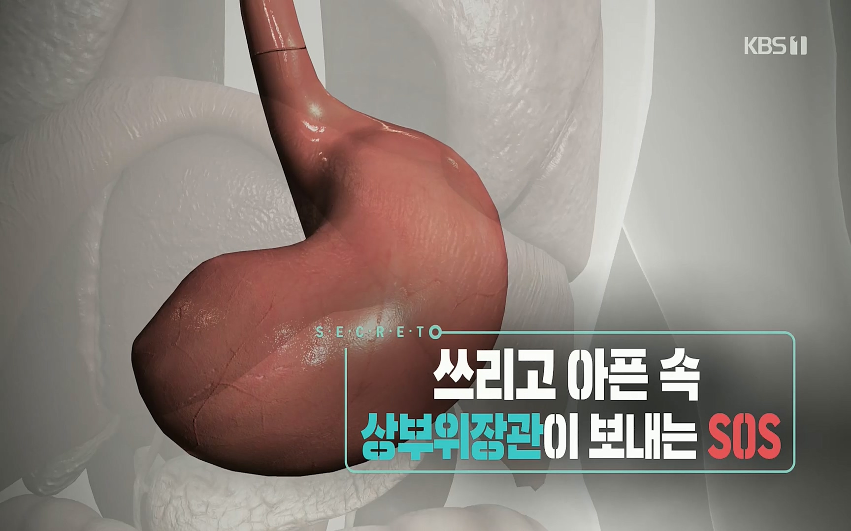 생로병사의 비밀.E822.220615p.H264-F1RST.mp4_20220616_201011.999.jpg
