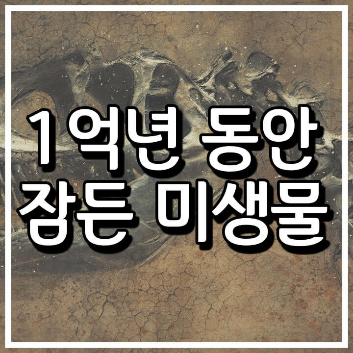  공룡시대 미생물이 아직 살아있다.