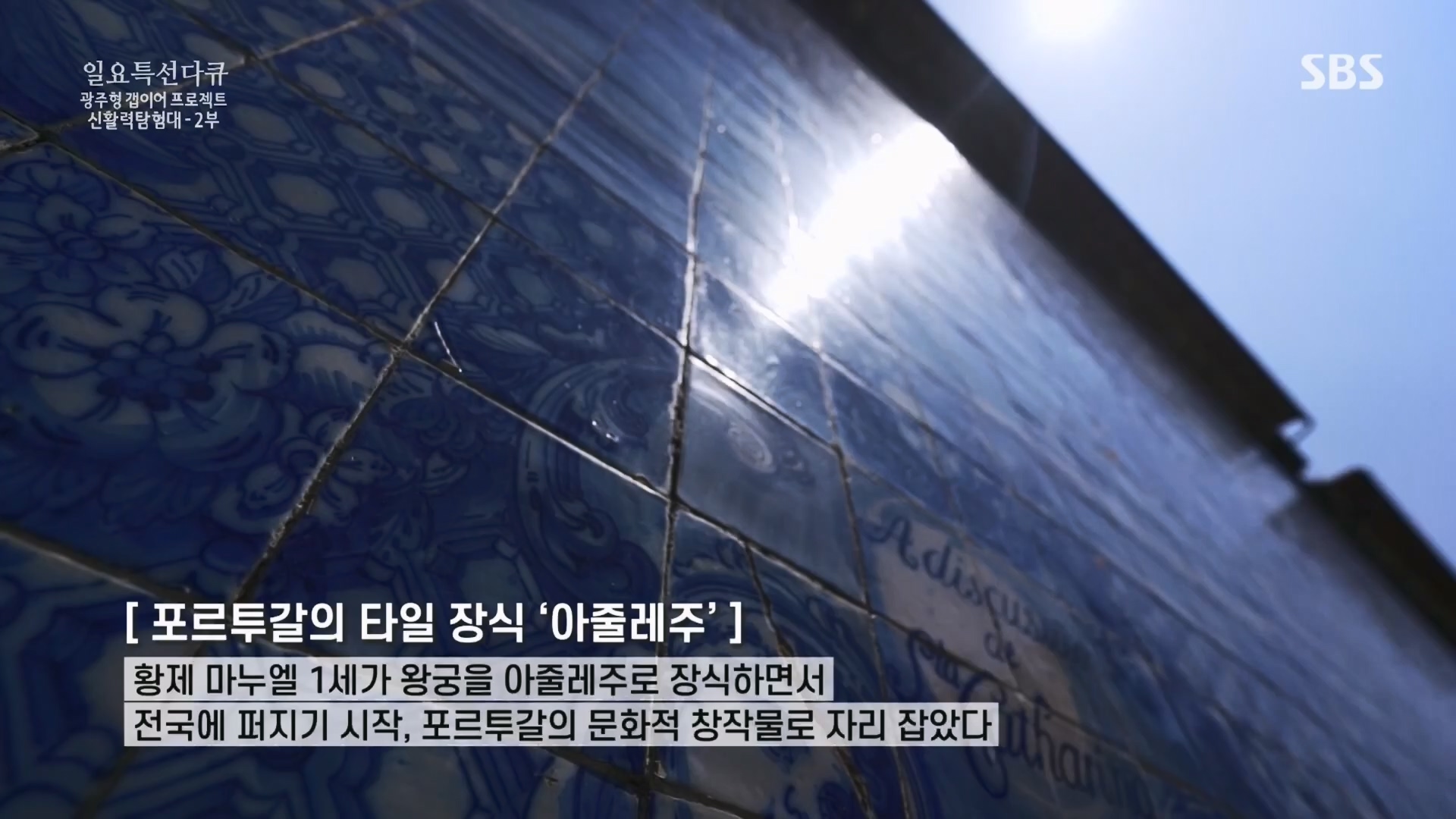 일요 특선 다큐멘터리.E326.231029p.H264-F1RST.mp4_20231029_160645.648.jpg