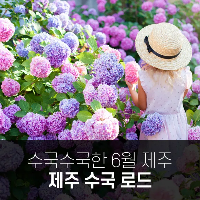 6월 제주도 가볼만한곳 10선 숨은 명소 맛집 코스_8
