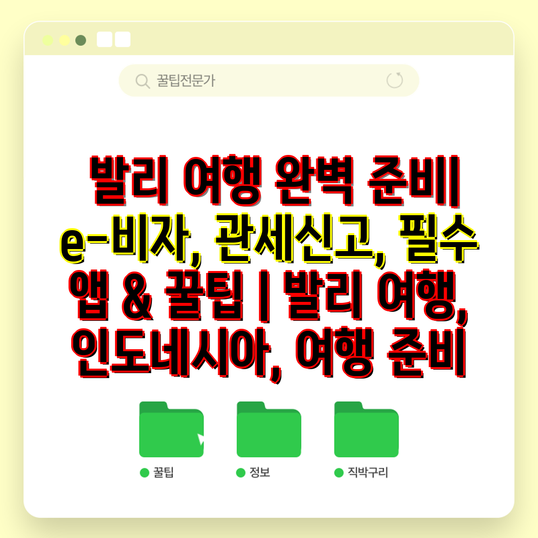  발리 여행 완벽 준비 e-비자, 관세신고, 필수 앱 