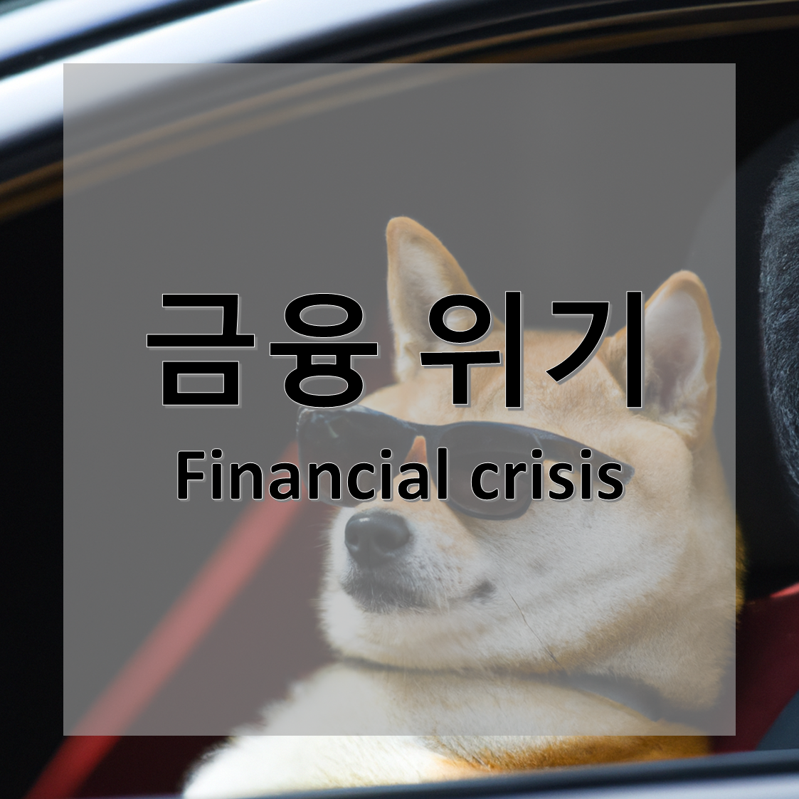 금융 위기(Financial crisis)