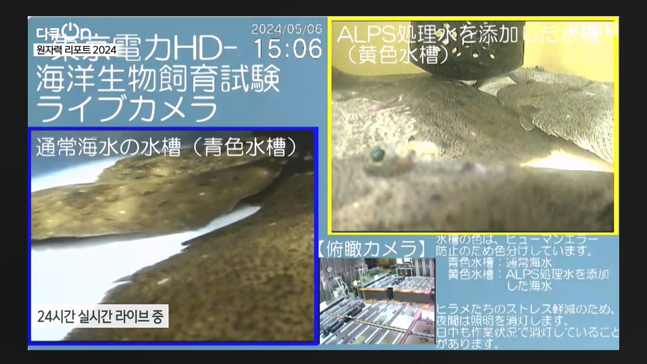 다큐 온.E247.240512p-NEXT.mp4_20240512_133752.737.jpg