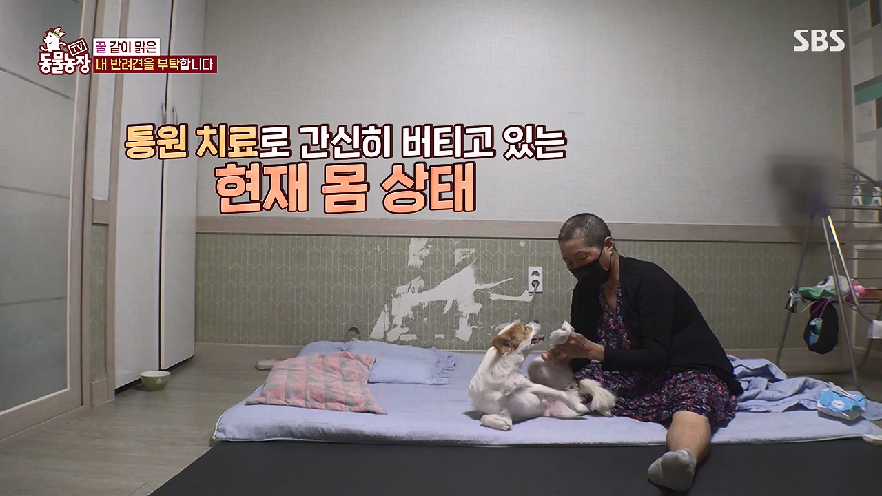 TV 동물농장.E1174.240603p-NEXT.mp4_20240602_155741.300.jpg