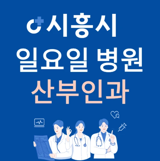 경기도-시흥시-일요일-산부인과-진료하는곳-주말에-문여는-시흥시-24시간-산부인과-병원-찾기