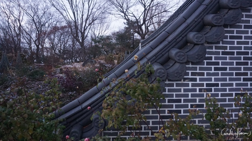 전주 겨울여행 전주겨울여행/한국도로공사 20