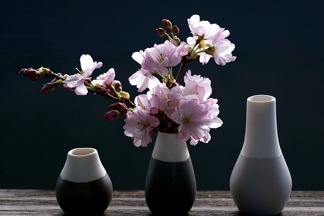 🌸 2025년 봄꽃 축제 일정 한눈에 보기