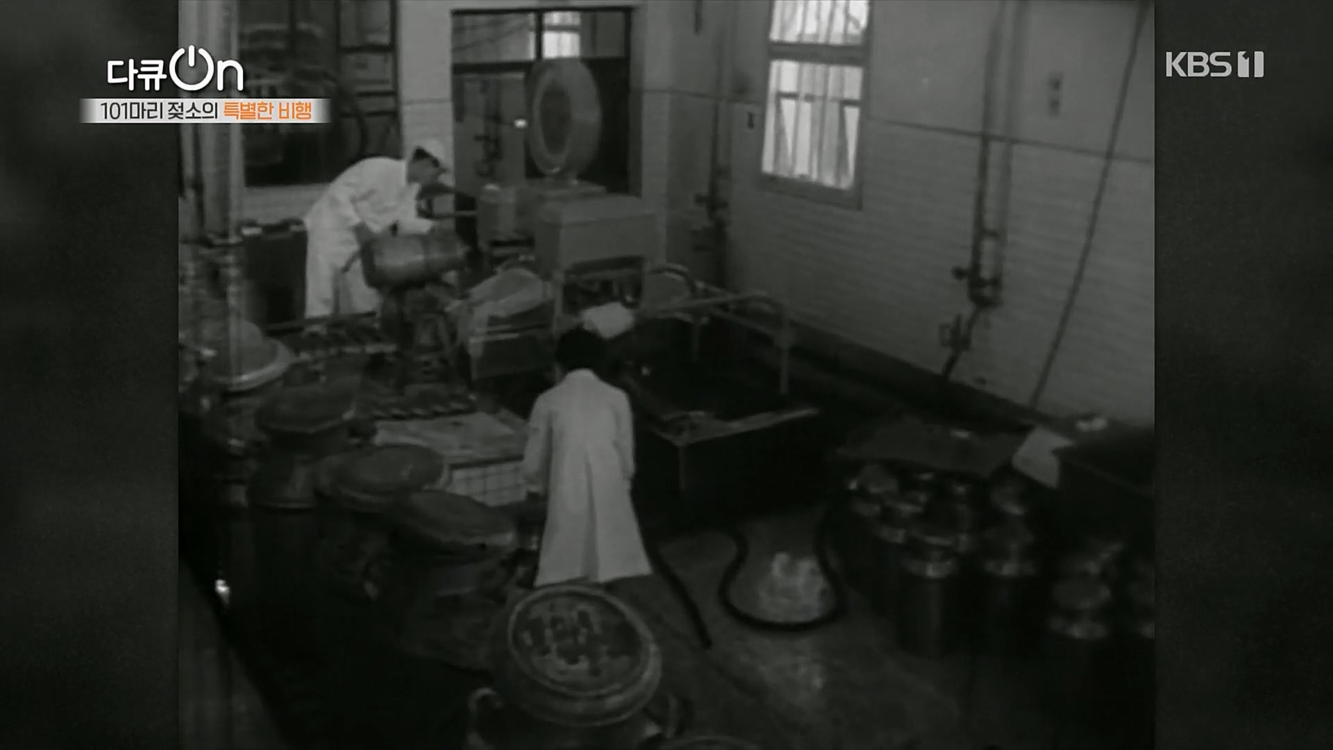 다큐 On.E184.230203p.H264-F1RST.mp4_20230211_173933.261.jpg