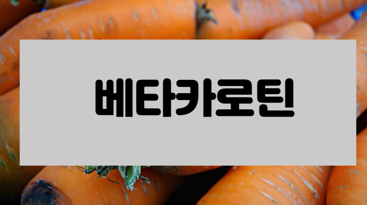  베타카로틴 효능 건강기능식품 공전 기술서