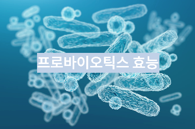 프로바이오틱스 효능