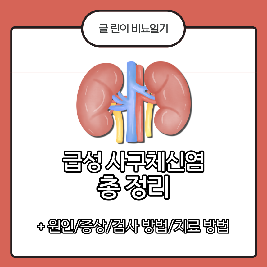  급성 사구체신염 총 정리