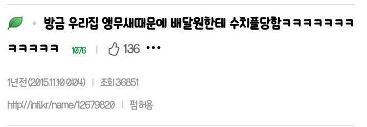  앵무새 때문에 수치플당한 ssul