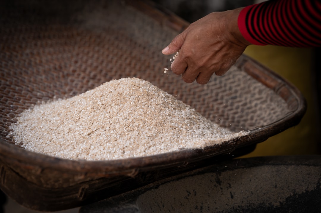 Rice