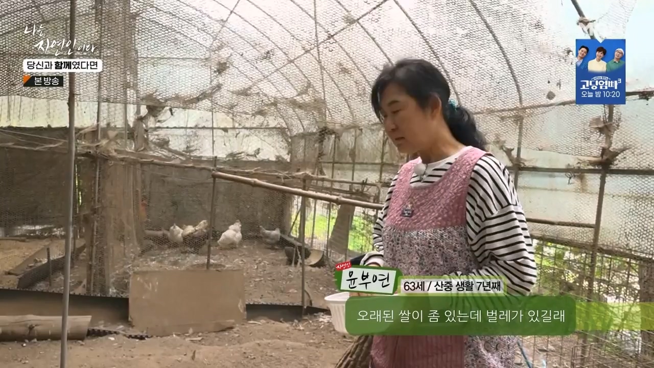 나는 자연인이다.E556.230532p-NEXT.mp4_20230601_201536.472.jpg