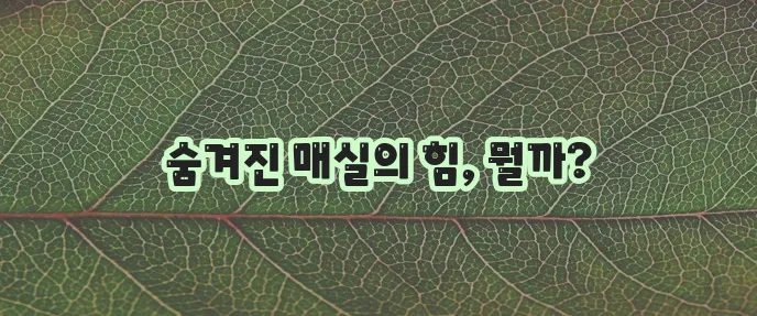 매실 효능은 정말 놀랍습니다!