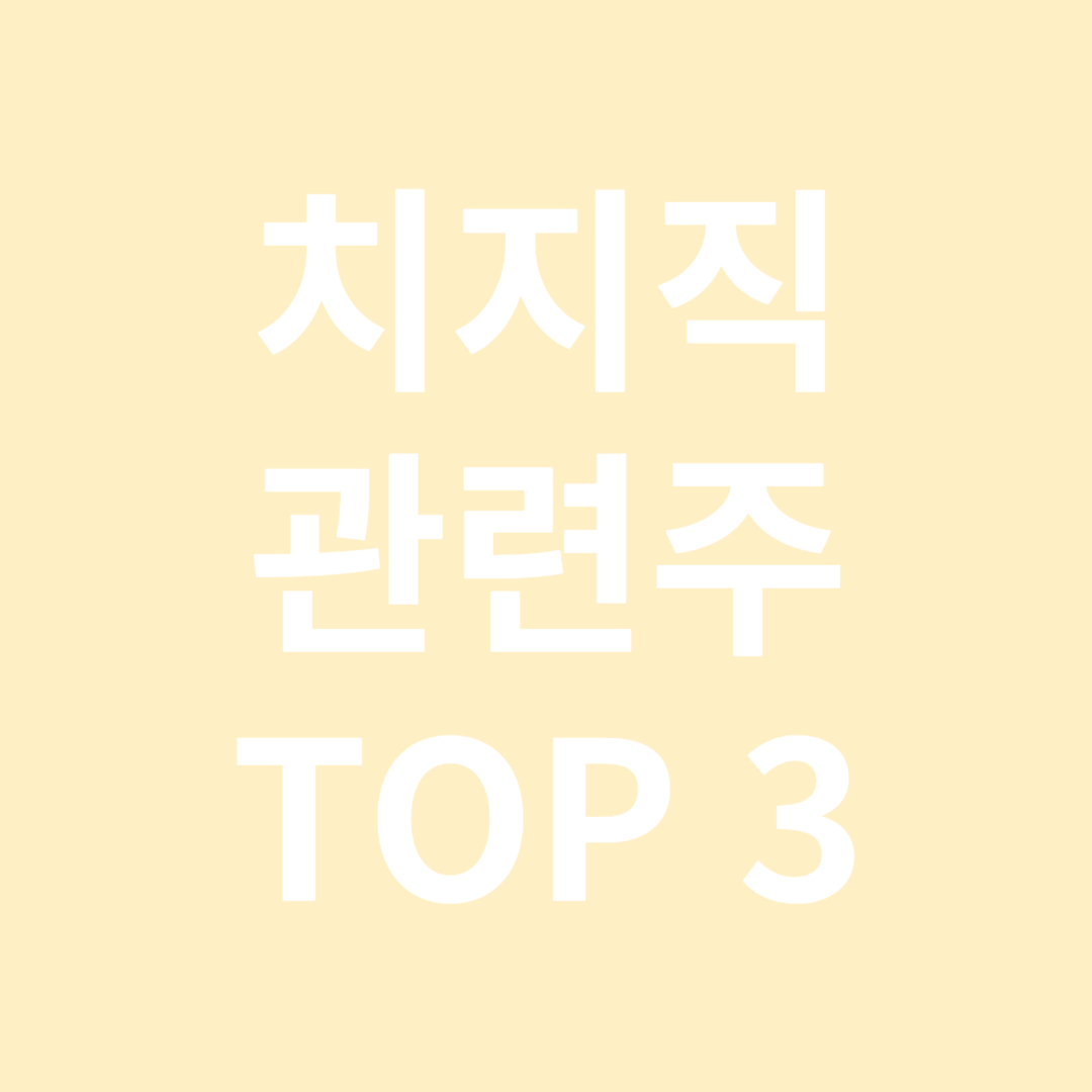 네이버 치지직 관련주 TOP 3