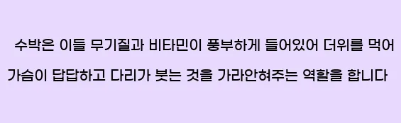  수박은 이들 무기질과 비타민이 풍부하게 들어있어 더위를 먹어 가슴이 답답하고 다리가 붓는 것을 가라안혀주는 역할을 합니다