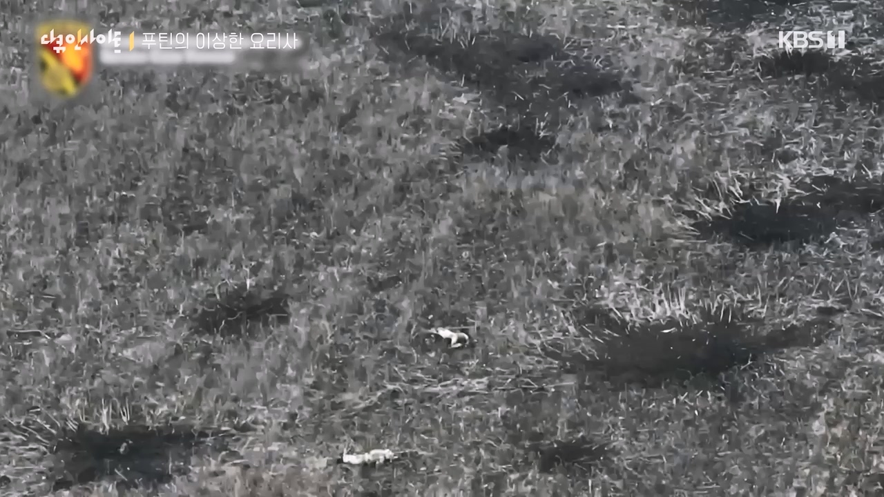 다큐 인사이트.E160.230832p-NEXT.mp4_20230902_145417.406.jpg