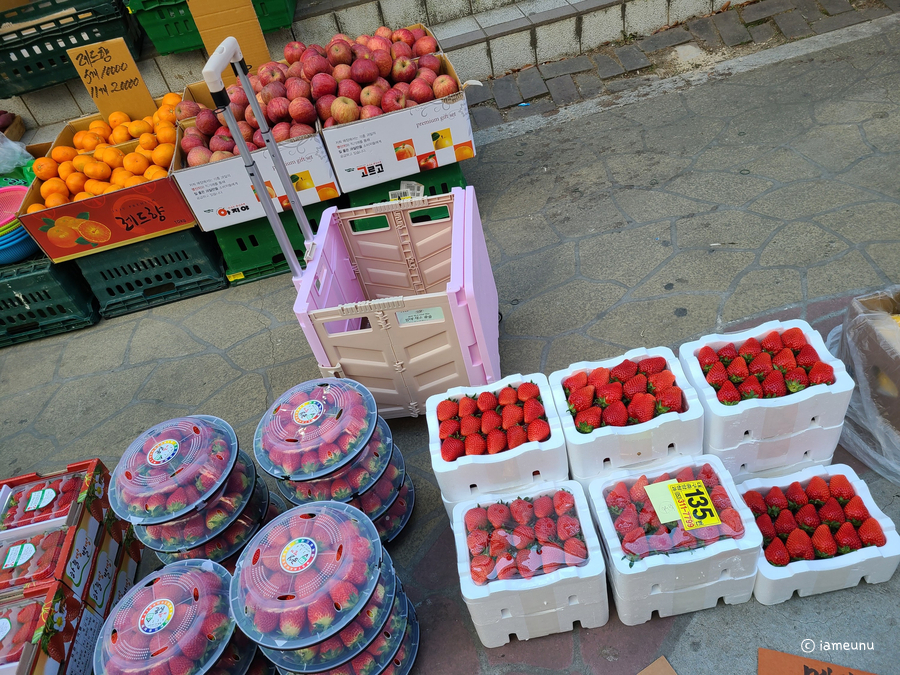 바구니 장캐리어 편해요 9